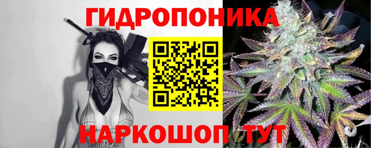Долгопрудный  Марихуана ГИДРОПОН  Вход с VPN  Бошки Шишки AK-47  Конопля план 